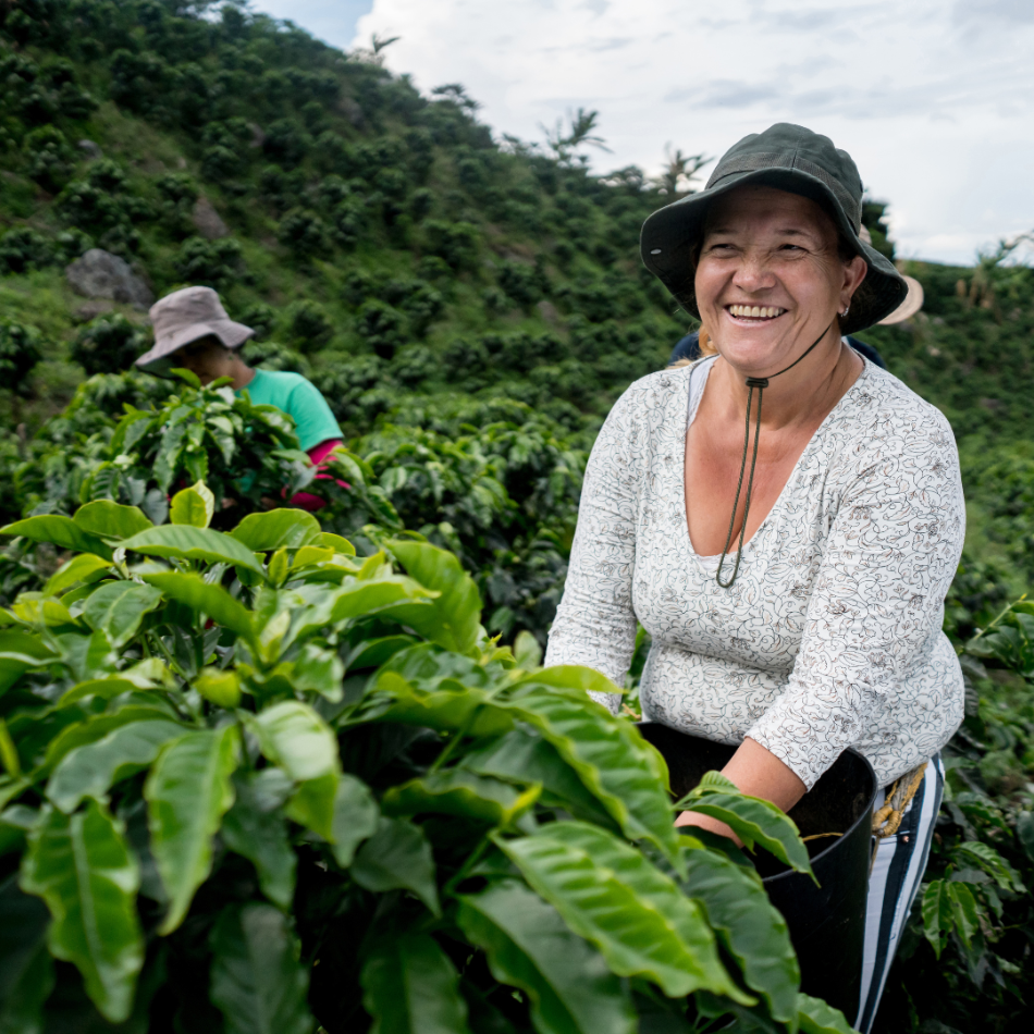 Colombian coffee farmer
